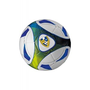 Ball Hybrid Training Gr. 5 430g (Logo)