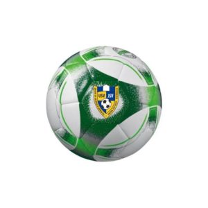 Ball Hybrid Lite Gr. 3 290g (Logo)