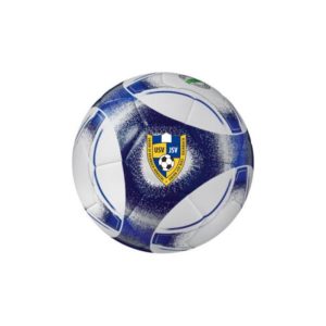 Ball Hybrid Lite Gr. 5 430g (Logo)
